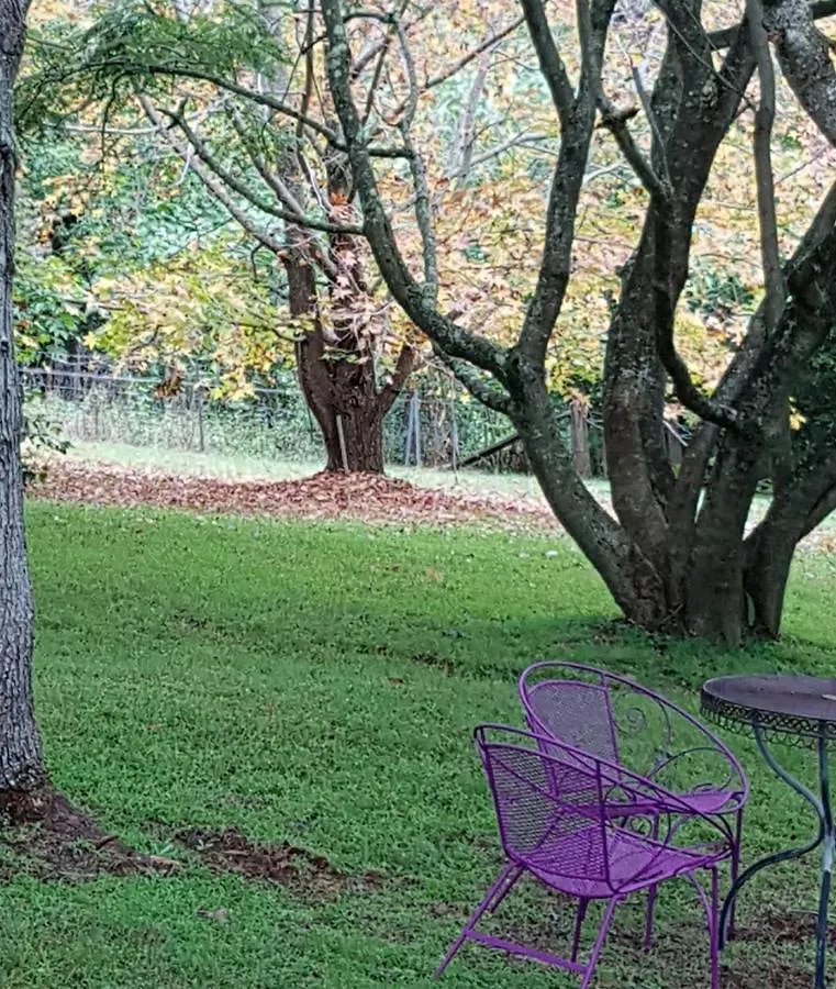 Bed & Breakfast Wyndover Mountain Retreat Beechmont