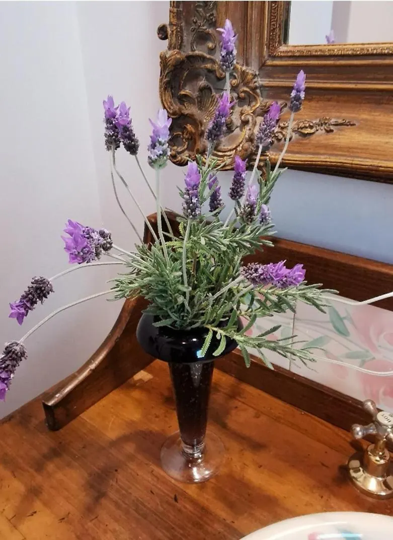 Bed & Breakfast Wyndover Mountain Retreat Beechmont Australia