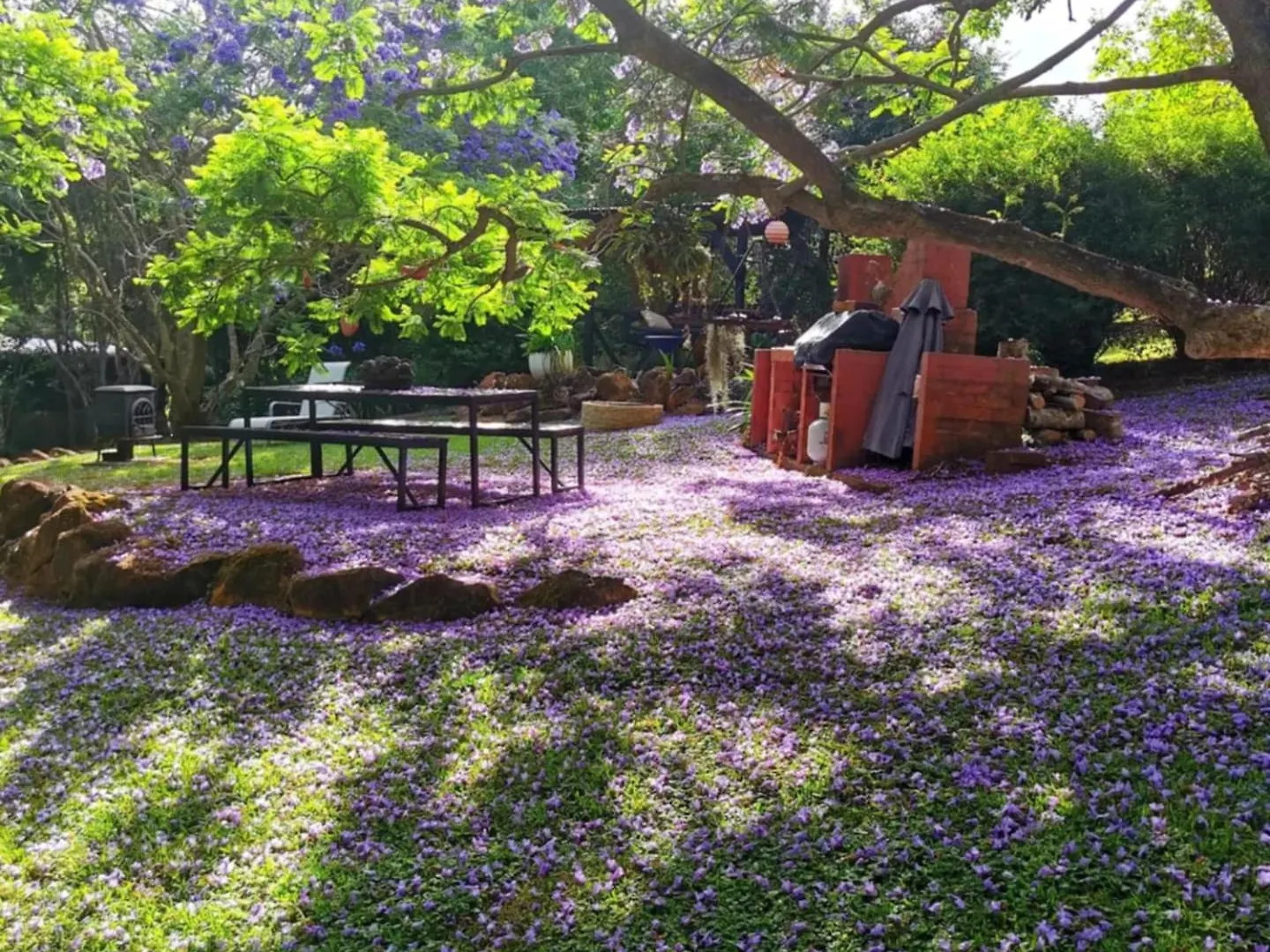 Wyndover Mountain Retreat Beechmont 0*,  Australia