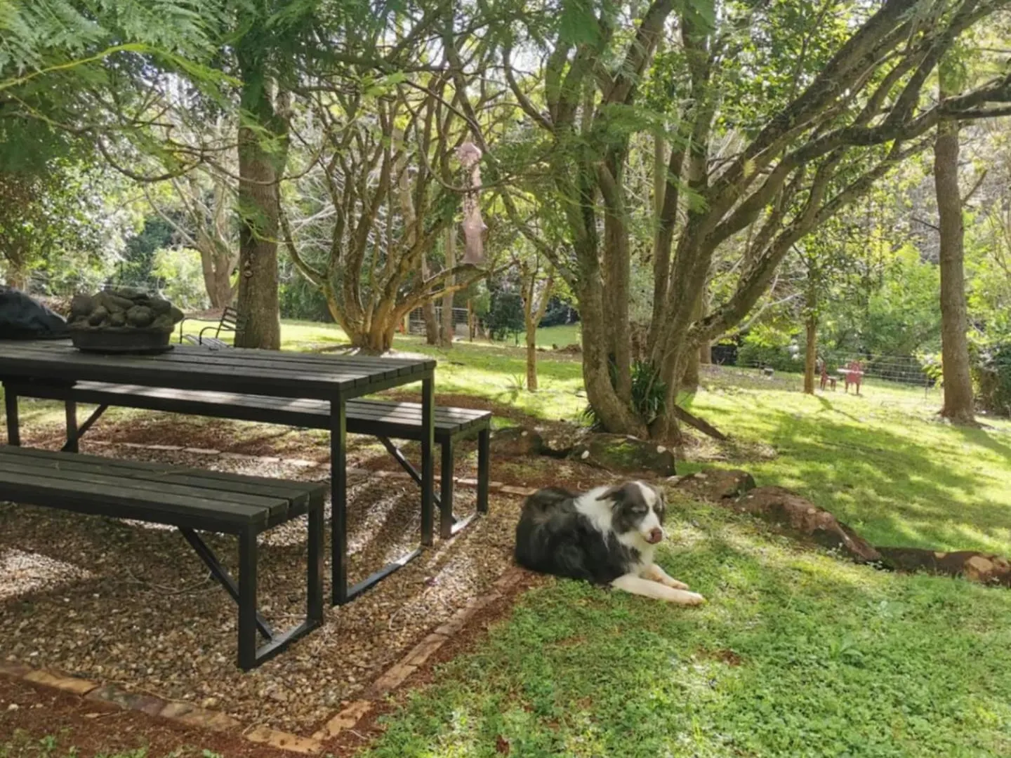 Wyndover Mountain Retreat Beechmont Bed & Breakfast