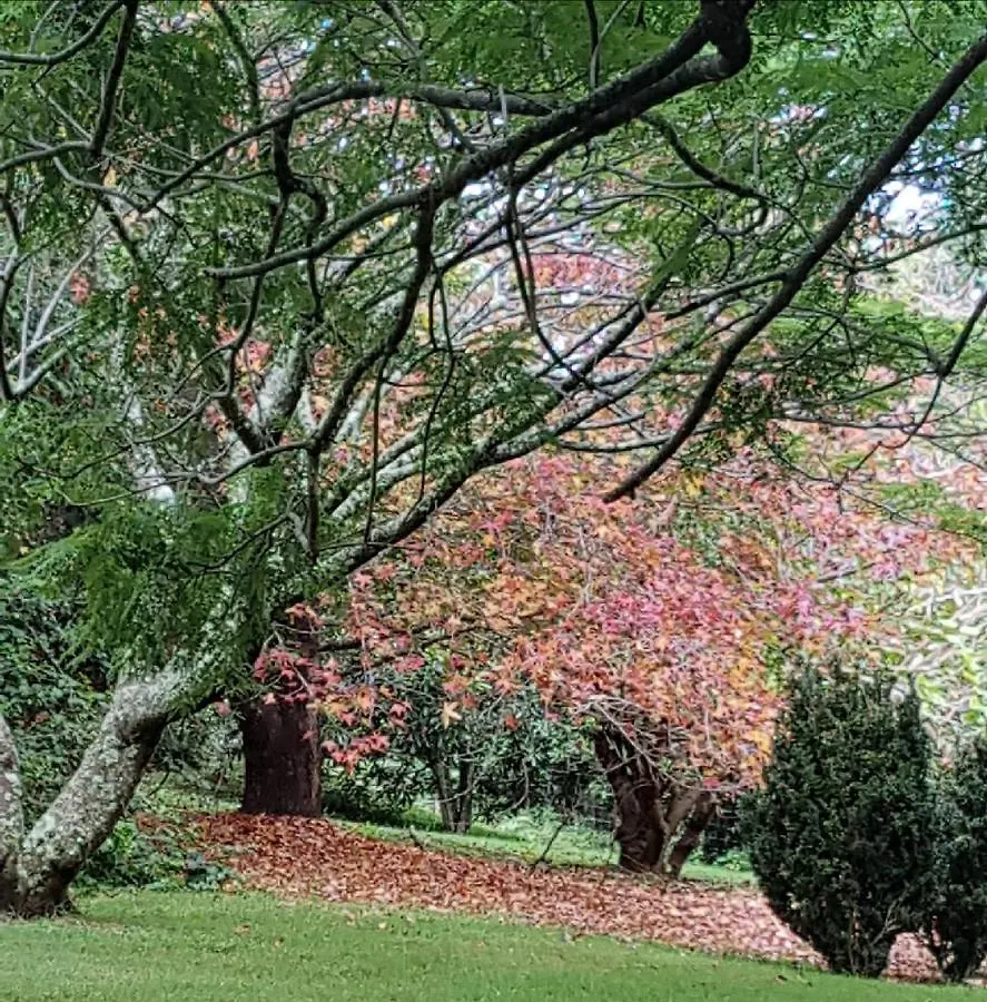 Wyndover Mountain Retreat Beechmont Bed & Breakfast