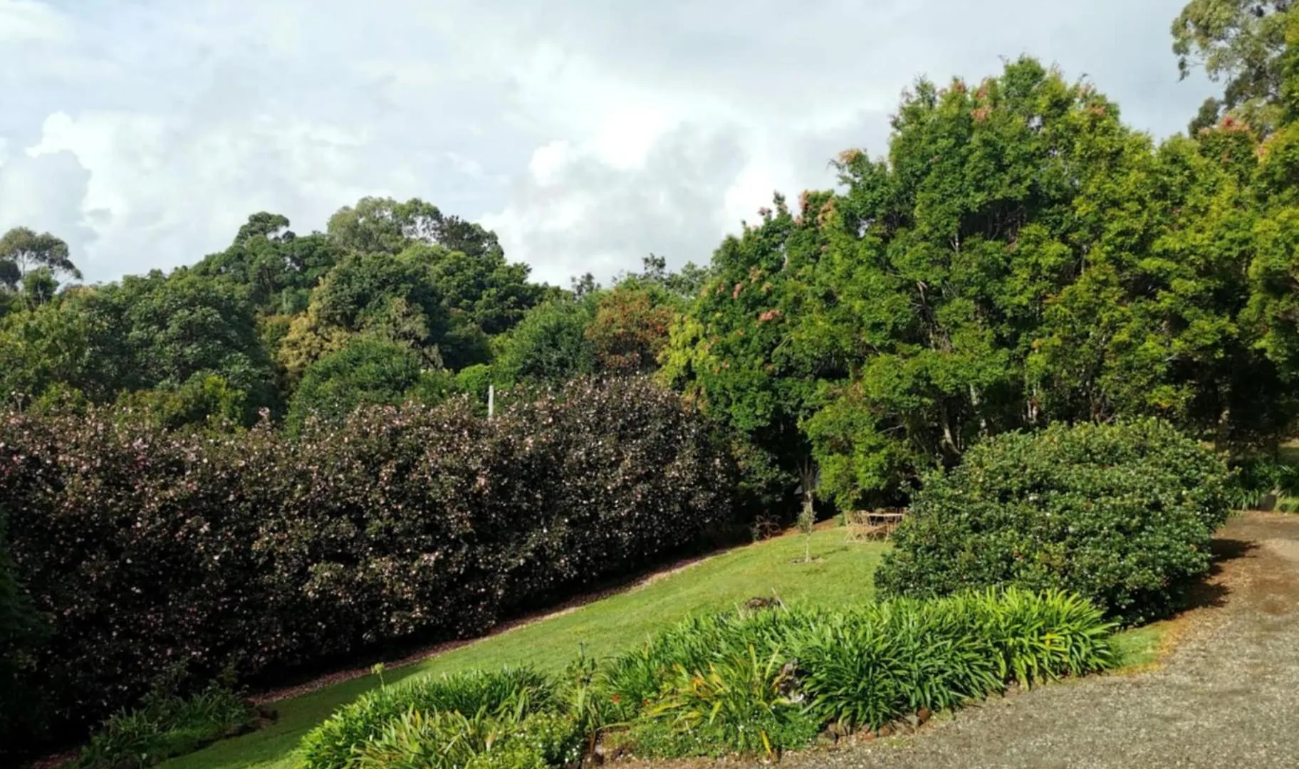 Wyndover Mountain Retreat Beechmont