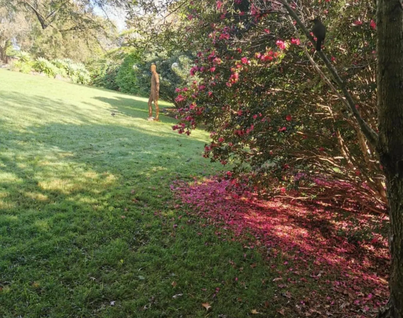 Wyndover Mountain Retreat Beechmont